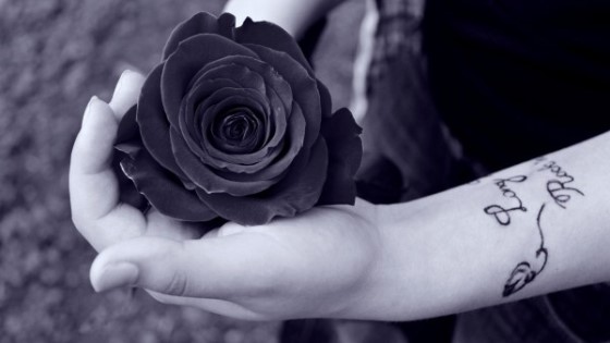 Hoa hồng đen tượng trưng cho điều gì